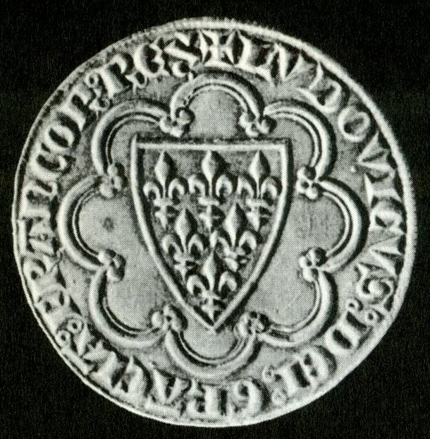 Gran Doblone - Lo scudo d'oroCarlo Magno e la riforma carolingia.
